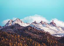 林诗栋/黄友政横扫对手 晋级WTT新加坡大满贯决赛